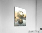 Let There Be Light Acrylic Print