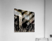 Portal  Acrylic Print
