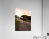 Take Me Home Acrylic Print