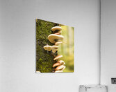 FunGuys Acrylic Print