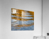 Water Reflections VI Acrylic Print