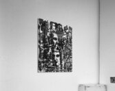 BoneYard Acrylic Print