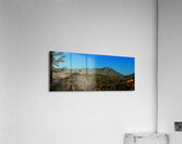 Mt Tam Summer view  Acrylic Print