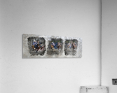 Bull Dogger Acrylic Print