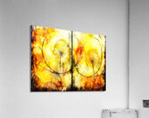 Dandelion Outline  Acrylic Print