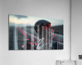 USTUR Racer Acrylic Print