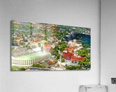 1960 tennessee campus art Acrylic Print