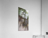 Drop of Chapel of Ease Acrylic Print