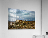 The Pheonix  Acrylic Print