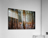 Traces Of Snow Acrylic Print