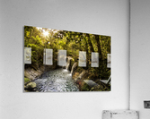 _MG_6866 Acrylic Print