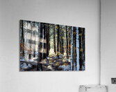 A Dusting Of Snow Acrylic Print