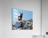 The Overlook Acrylic Print