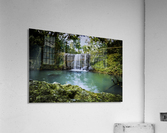 _MG_6823 Acrylic Print