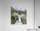 Sunwapta Falls Classic Acrylic Print