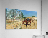 People and horses resting Acrylic Print
