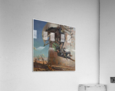 Don Qujiote Acrylic Print