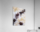 Beneath the Surface Acrylic Print