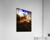 Pumpkin Path  Acrylic Print