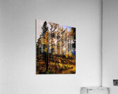 The Last Moment Acrylic Print