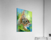 Red Squirrel with Green Leaves Acrylic Print