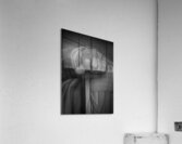 lincoln left hand  vertical 2310 Left 13k Acrylic Print