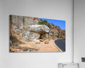 Arboreal Gateway: Tunnel Rock Sequoia National Park Acrylic Print