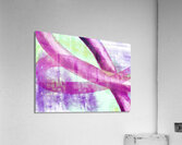 RoseLoops Abstracy II Acrylic Print