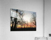4E24C4DC AAF7 4A85 B0EF D5637A62E7EC Acrylic Print