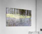 Winter Pond Textures Acrylic Print