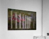 Pink Chandelier Kalanchoe Delagoensis Flower Acrylic Print