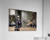 Red Tailed Hawk Falconry Demonstration Acrylic Print