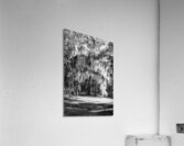 Dressed to the 999s Acrylic Print