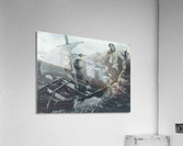 Havsnaud Acrylic Print