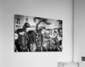 long horn of a texas longhorn  horizontal 2129 Ho Acrylic Print