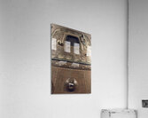 Capsule Acrylic Print