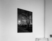 houston skyline in buffalo bayou  vertical 934 Oa Acrylic Print