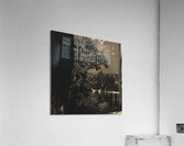 Night Acrylic Print