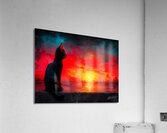 Cat Looking At Sunset Acrylic Print
