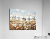 Daisies in the Urban Landscape Acrylic Print