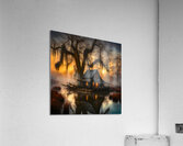 SPANISH MOSS Acrylic Print