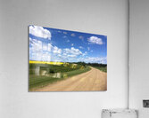 Country Road Acrylic Print