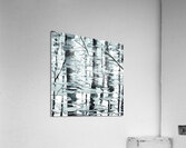 Birch Reflection Acrylic Print