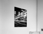 channelside drive tampa riverwalk  vertical 1104 Acrylic Print