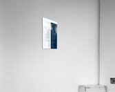 QUI CHOISIS-TU D ETRE Acrylic Print