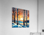 Petun Sunset Acrylic Print