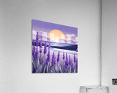 Lavender Lake Acrylic Print
