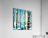 Winter Birch Acrylic Print