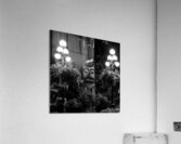 totem pole in pioneer square  square 2706 Totem 1 Acrylic Print