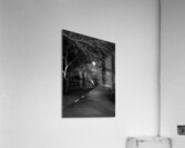 lit path near phoenix central station  vertical 1 Acrylic Print